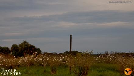 Southwest Florida River Wildlife Live Cams - Oct 5, 2026, 6:49pm EDT