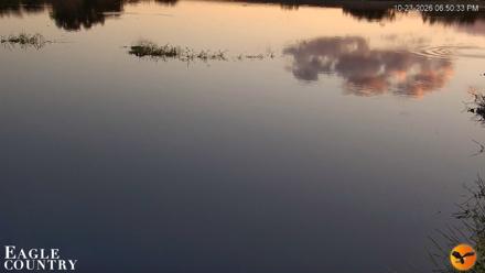 Southwest Florida River Wildlife Live Cams - Oct 23, 2026, 6:50pm EDT
