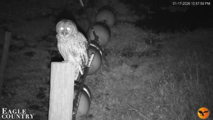 Southwest Florida River Wildlife Live Cams - Jan 17, 2026, 10:58pm EST