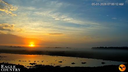 Southwest Florida River Wildlife Live Cams - May 1, 2026, 7:01am EDT