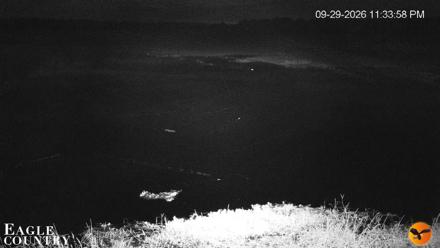 Southwest Florida River Wildlife Live Cams - Sep 29, 2026, 11:34pm EDT