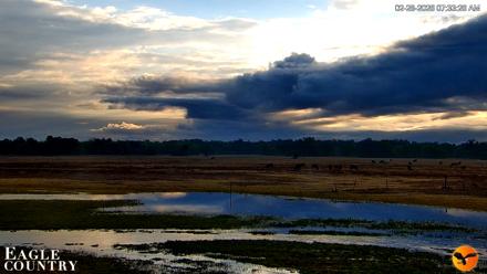 Southwest Florida River Wildlife Live Cams - Feb 28, 2026, 7:34am EST