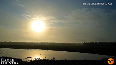 Southwest Florida River Wildlife Live Cams - Apr 30, 2026, 7:42am EDT