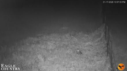 Southwest Florida River Wildlife Live Cams - Jan 17, 2026, 10:58pm EST