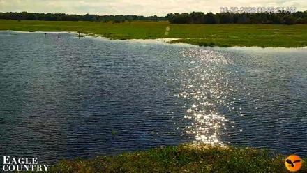 Southwest Florida River Wildlife Live Cams - Sep 30, 2026, 9:57am EDT