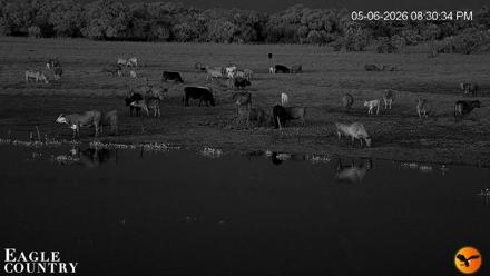 Southwest Florida River Wildlife Live Cams - May 6, 2026, 11:11pm EDT