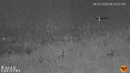 Southwest Florida River Wildlife Live Cams - Aug 27, 2026, 8:23pm EDT