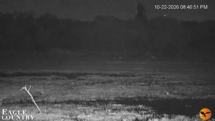 Southwest Florida River Wildlife Live Cams - Oct 22, 2026, 8:47pm EDT