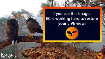 Southwest Florida River Wildlife Live Cams - Oct 17, 2026, 6:34am EDT