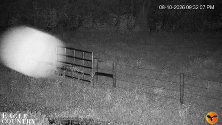 Southwest Florida River Wildlife Live Cams - Aug 10, 2026, 9:33pm EDT