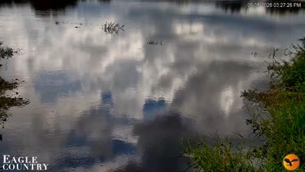 Southwest Florida River Wildlife Live Cams - Sep 8, 2026, 3:27pm EDT