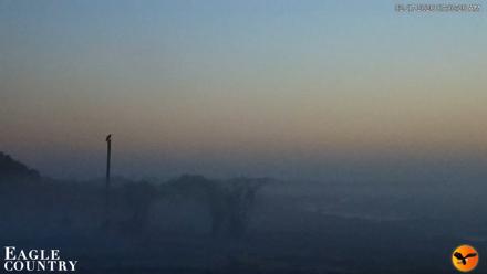 Southwest Florida River Wildlife Live Cams - Feb 17, 2026, 7:01am EST