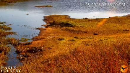 Southwest Florida River Wildlife Live Cams - Nov 28, 2025, 3:57pm EST