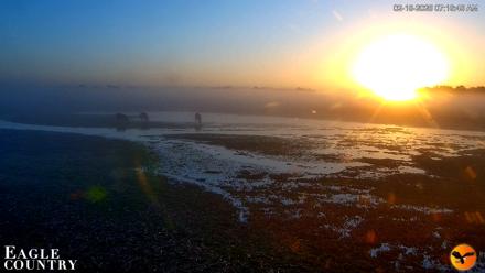 Southwest Florida River Wildlife Live Cams - Feb 16, 2026, 7:18am EST