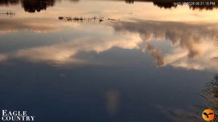 Southwest Florida River Wildlife Live Cams - Oct 16, 2026, 6:32pm EDT