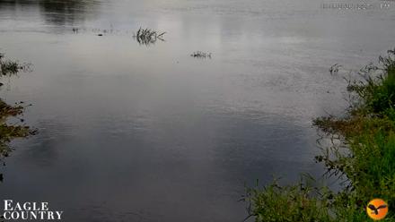 Southwest Florida River Wildlife Live Cams - Sep 8, 2026, 2:27pm EDT