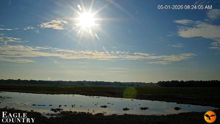 Southwest Florida River Wildlife Live Cams - May 1, 2026, 8:25am EDT