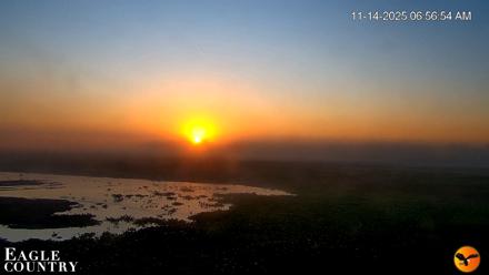 Southwest Florida River Wildlife Live Cams - Nov 14, 2025, 6:57am EST