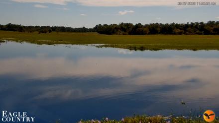 Southwest Florida River Wildlife Live Cams - Sep 27, 2026, 11:50am EDT