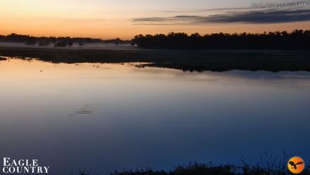 Southwest Florida River Wildlife Live Cams - Sep 27, 2026, 7:01am EDT