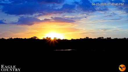 Southwest Florida River Wildlife Live Cams - Apr 23, 2026, 7:50pm EDT