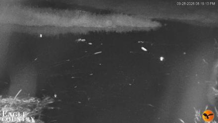 Southwest Florida River Wildlife Live Cams - Sep 28, 2026, 8:19pm EDT