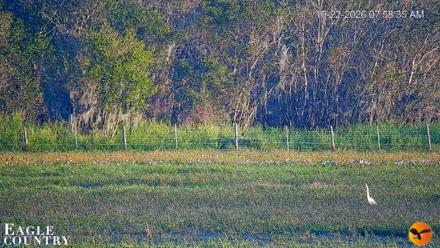 Southwest Florida River Wildlife Live Cams - Oct 22, 2026, 7:59am EDT