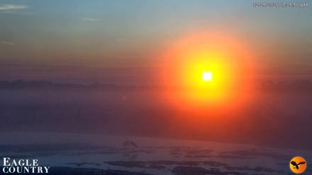 Southwest Florida River Wildlife Live Cams - Feb 25, 2026, 7:07am EST