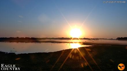 Southwest Florida River Wildlife Live Cams - Mar 27, 2026, 7:40am EDT
