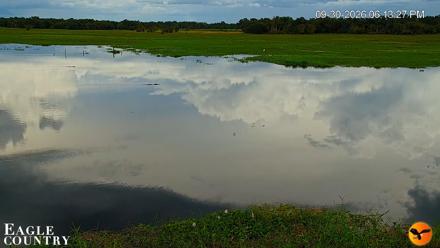 Southwest Florida River Wildlife Live Cams - Sep 30, 2026, 6:14pm EDT