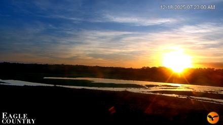 Southwest Florida River Wildlife Live Cams - Dec 18, 2025, 7:41am EST