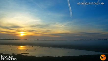 Southwest Florida River Wildlife Live Cams - May 6, 2026, 7:05am EDT