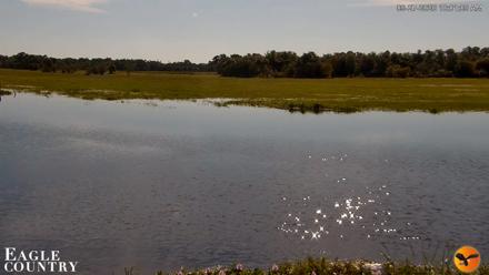 Southwest Florida River Wildlife Live Cams - Sep 27, 2026, 10:01am EDT