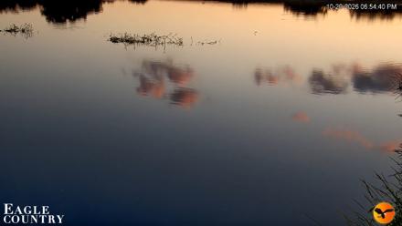 Southwest Florida River Wildlife Live Cams - Oct 20, 2026, 6:54pm EDT