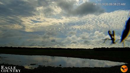 Southwest Florida River Wildlife Live Cams - Apr 30, 2026, 9:40am EDT