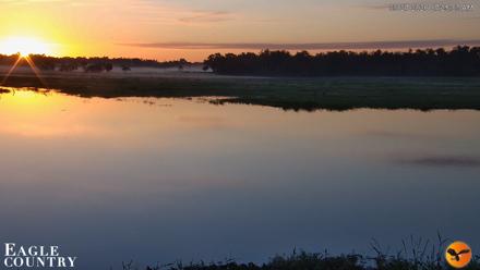 Southwest Florida River Wildlife Live Cams - Sep 27, 2026, 7:25am EDT