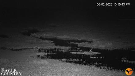 Southwest Florida River Wildlife Live Cams - Jun 2, 2026, 10:11pm EDT