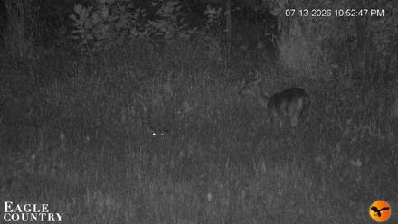 Southwest Florida River Wildlife Live Cams - Jul 13, 2026, 10:53pm EDT