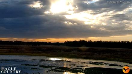 Southwest Florida River Wildlife Live Cams - Mar 2, 2026, 7:36am EST