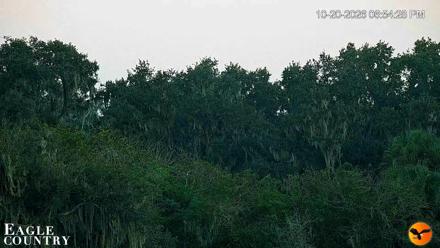 Southwest Florida River Wildlife Live Cams - Oct 20, 2026, 6:55pm EDT