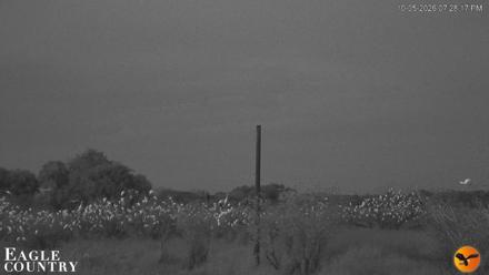 Southwest Florida River Wildlife Live Cams - Oct 5, 2026, 7:28pm EDT