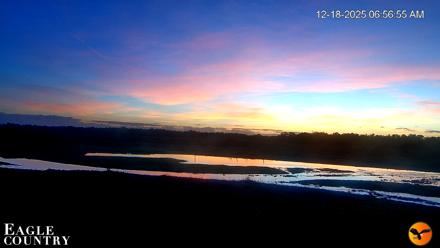 Southwest Florida River Wildlife Live Cams - Dec 18, 2025, 7:40am EST