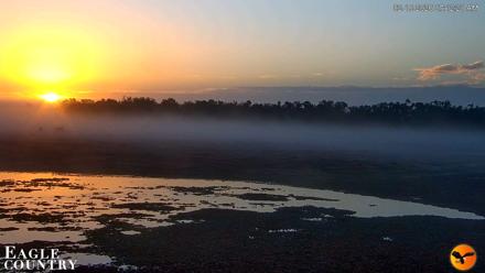 Southwest Florida River Wildlife Live Cams - Feb 16, 2026, 7:14am EST