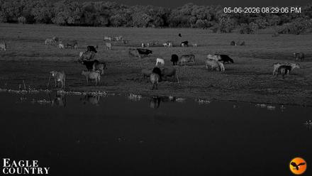 Southwest Florida River Wildlife Live Cams - May 6, 2026, 11:05pm EDT