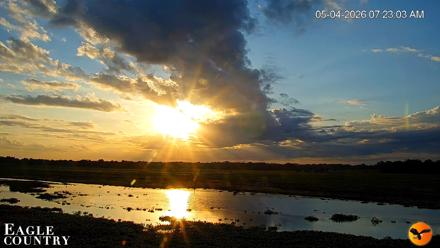Southwest Florida River Wildlife Live Cams - May 4, 2026, 7:49am EDT