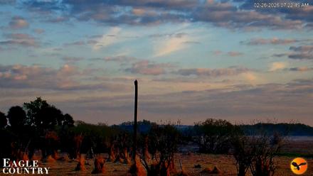 Southwest Florida River Wildlife Live Cams - Feb 26, 2026, 7:23am EST