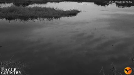 Southwest Florida River Wildlife Live Cams - Oct 1, 2026, 7:22pm EDT