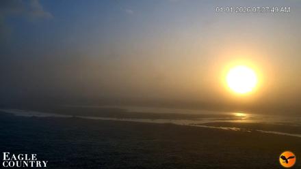 Southwest Florida River Wildlife Live Cams - Jan 1, 2026, 7:38am EST