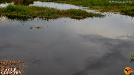 Southwest Florida River Wildlife Live Cams - Sep 30, 2026, 5:29pm EDT