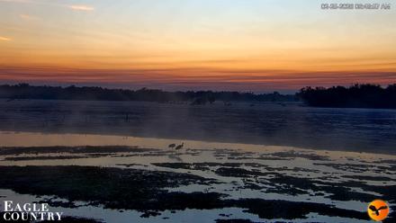 Southwest Florida River Wildlife Live Cams - Feb 25, 2026, 6:49am EST